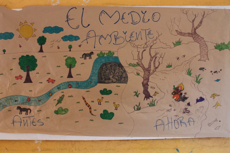 Medio ambiente, fuente de vida